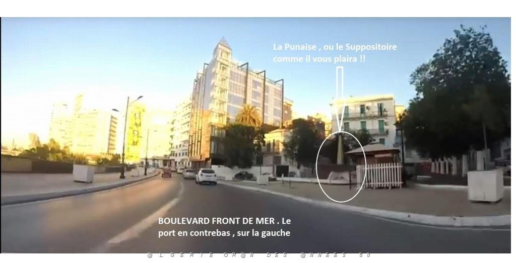 20 LE SUPPOSITOIRE OU LA PUNAISE-1.jpg
